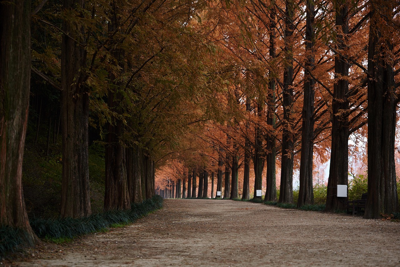 담양 민생 지원금
