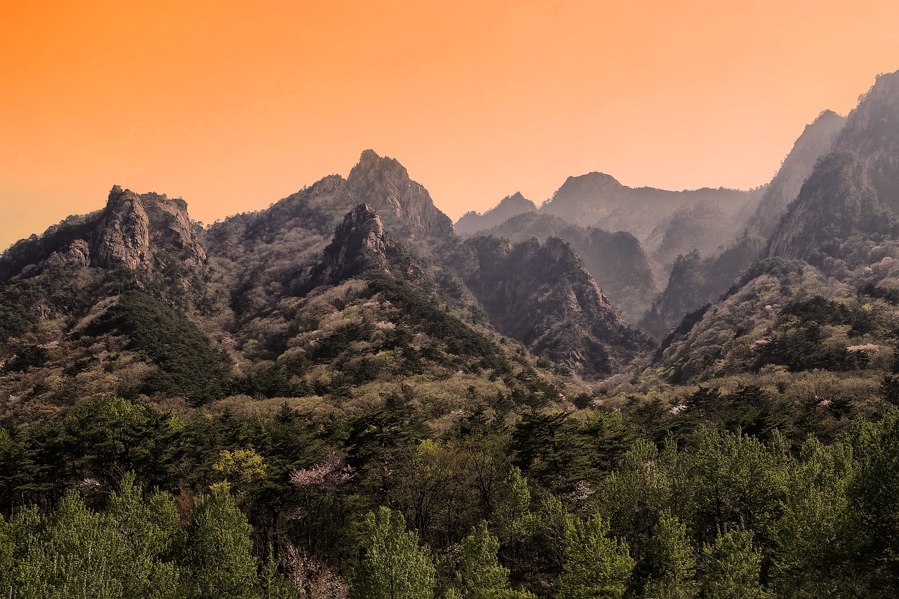 속초 청년 지원금