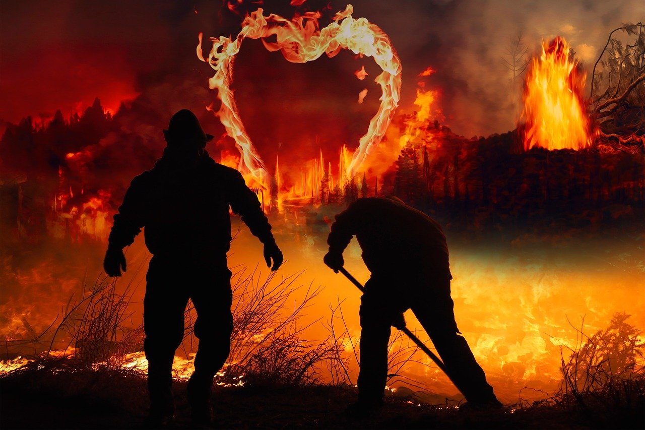 산불 재난지원금 지급