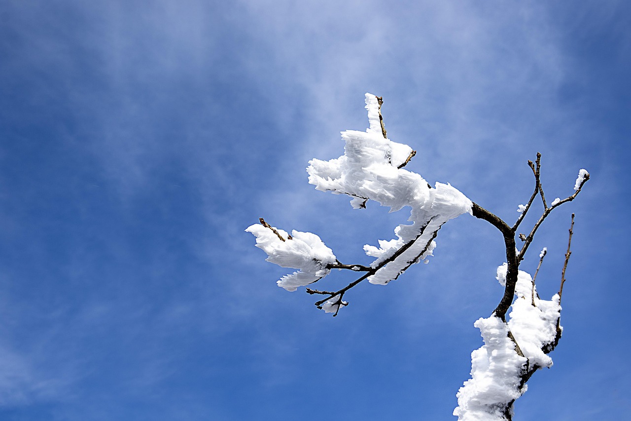울산 남구 근로장려 지원금