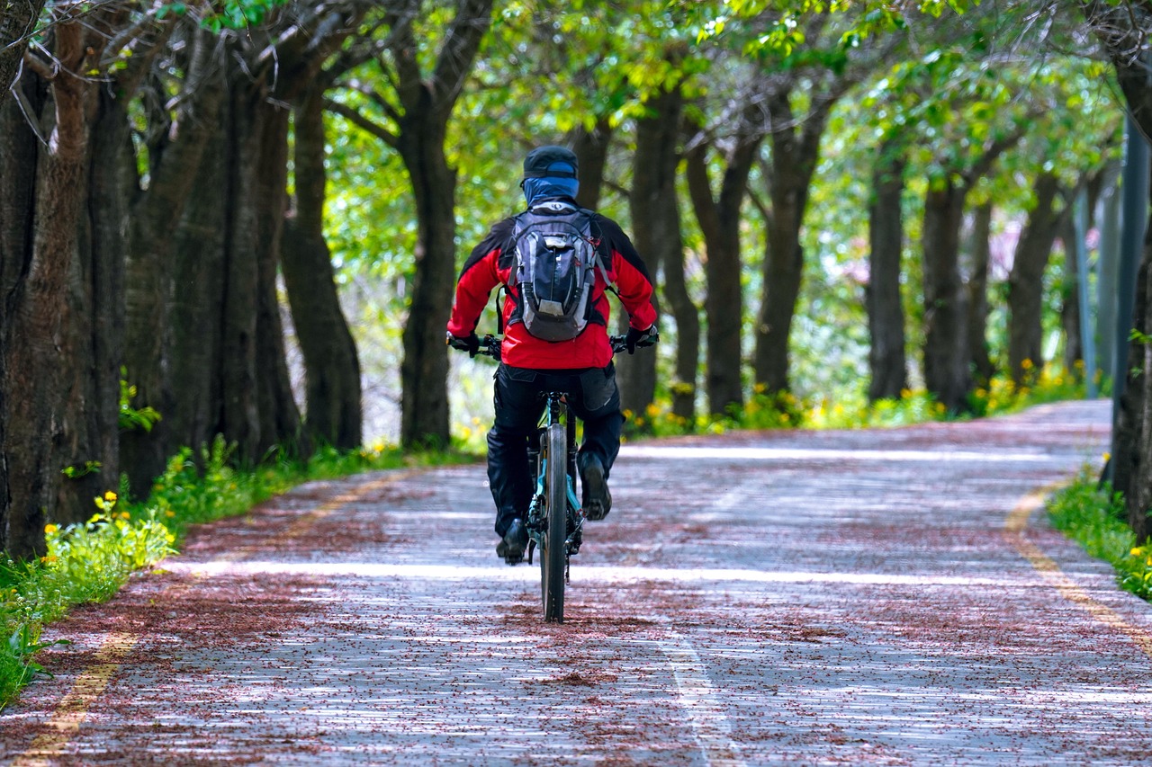 경기도 민생지원금 안산