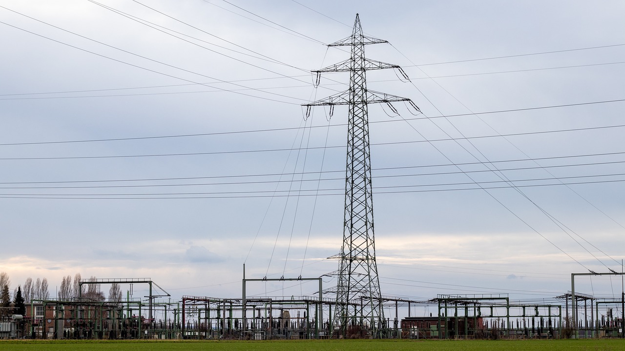 재난지원금 환수 통지서