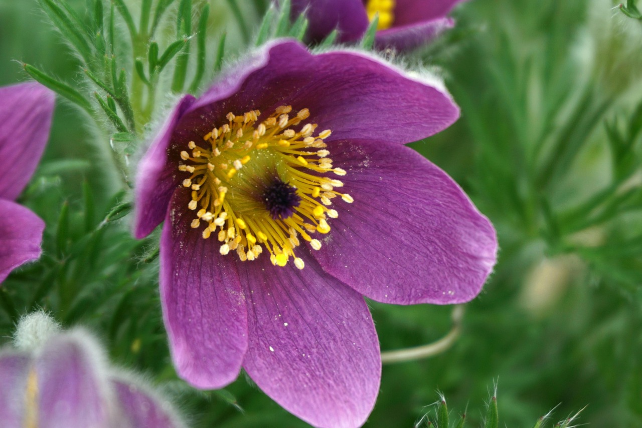 부천 서민 지원금