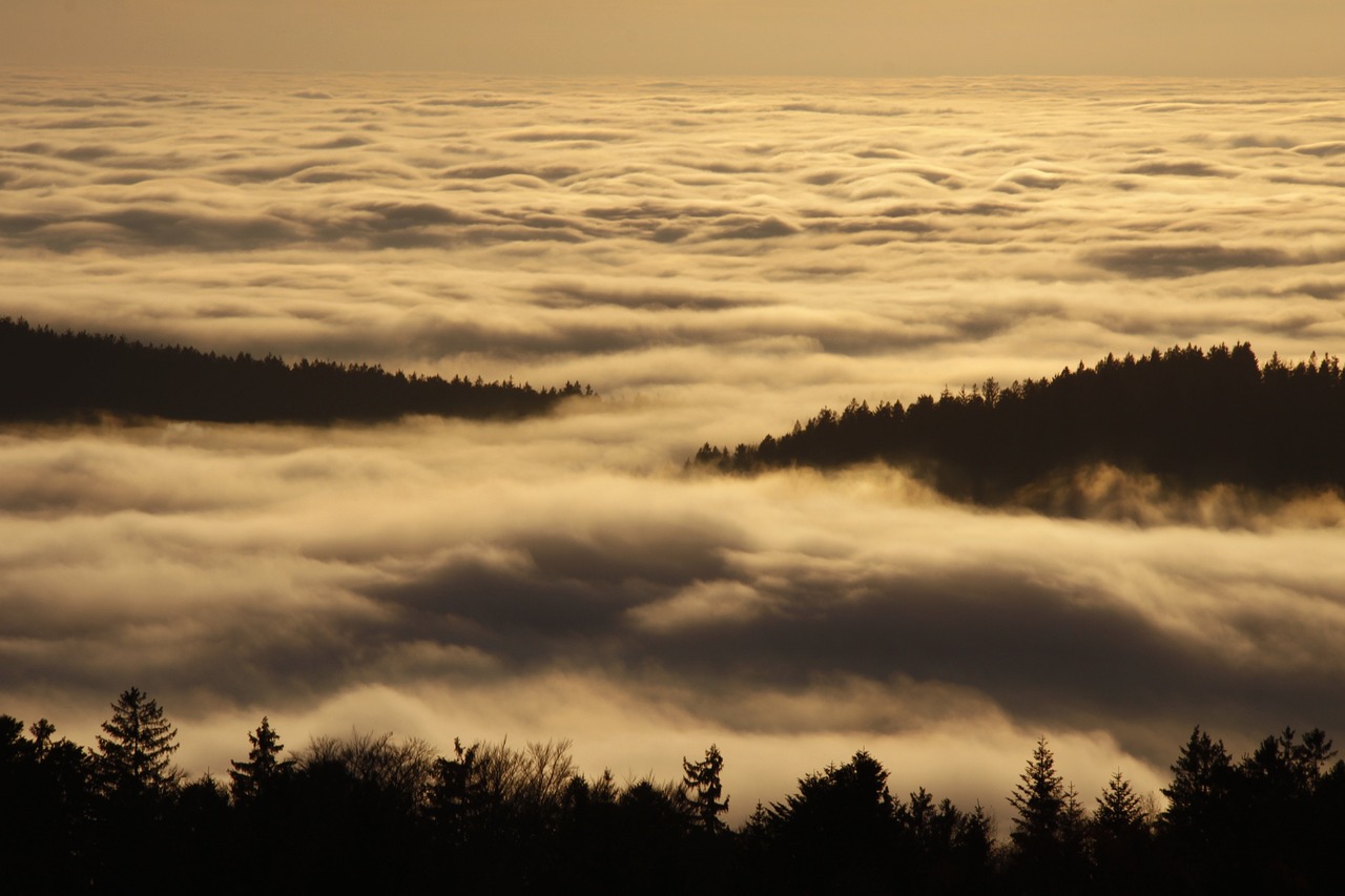 경기도 청년 지원금 신청 조건