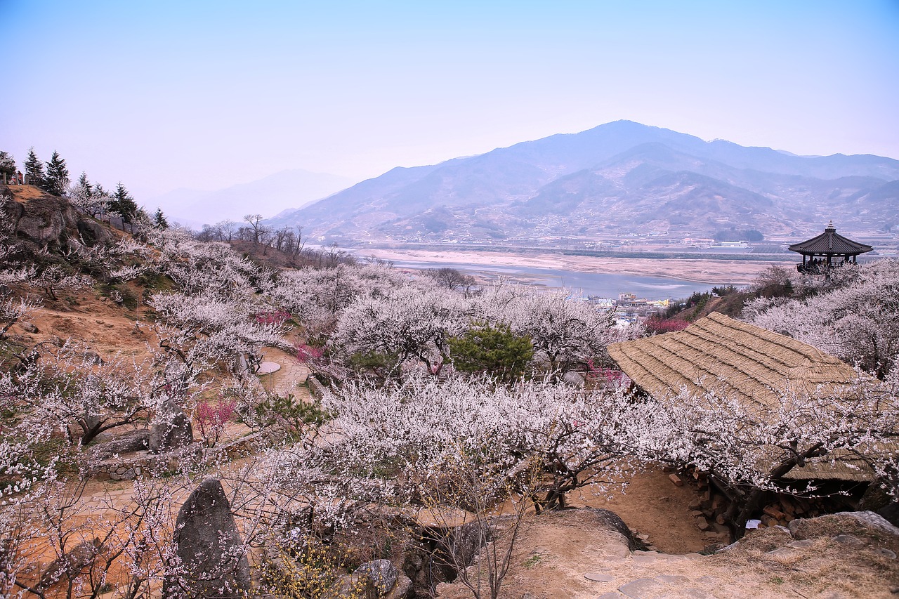 광양 소상공인 지원금