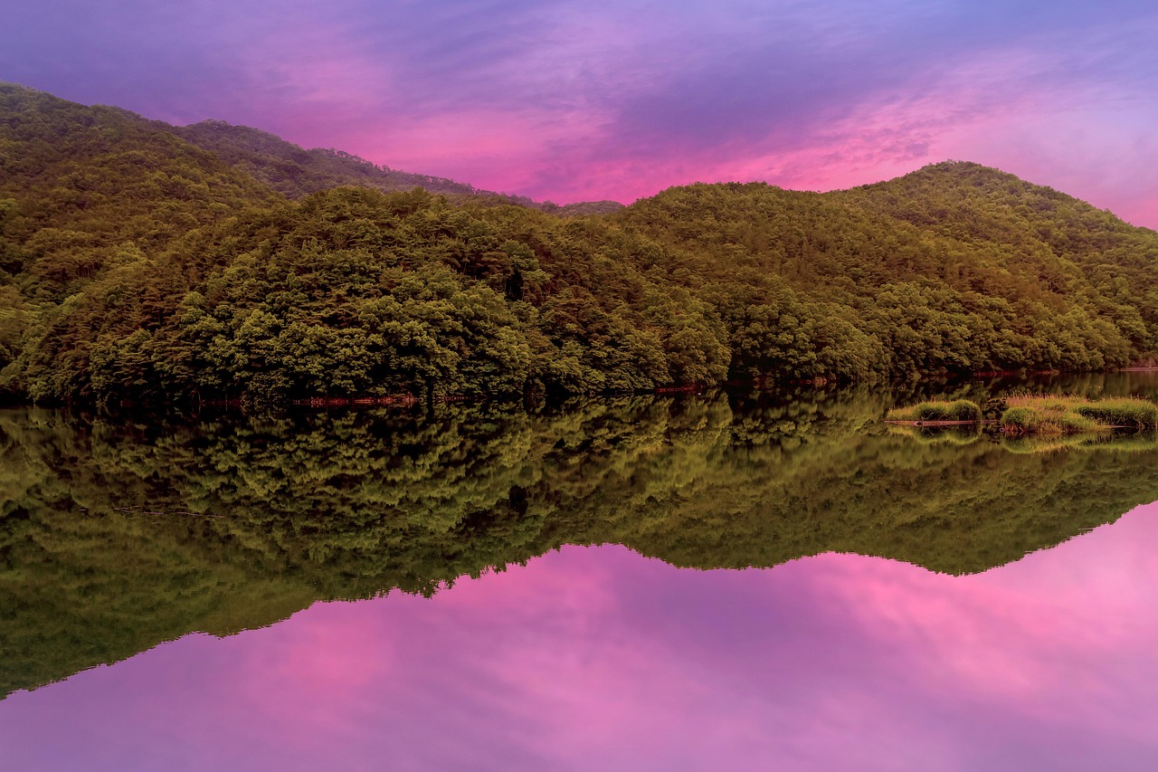 광주 서구 민생 지원금