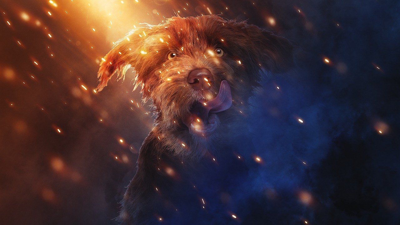 영광 민생 지원금