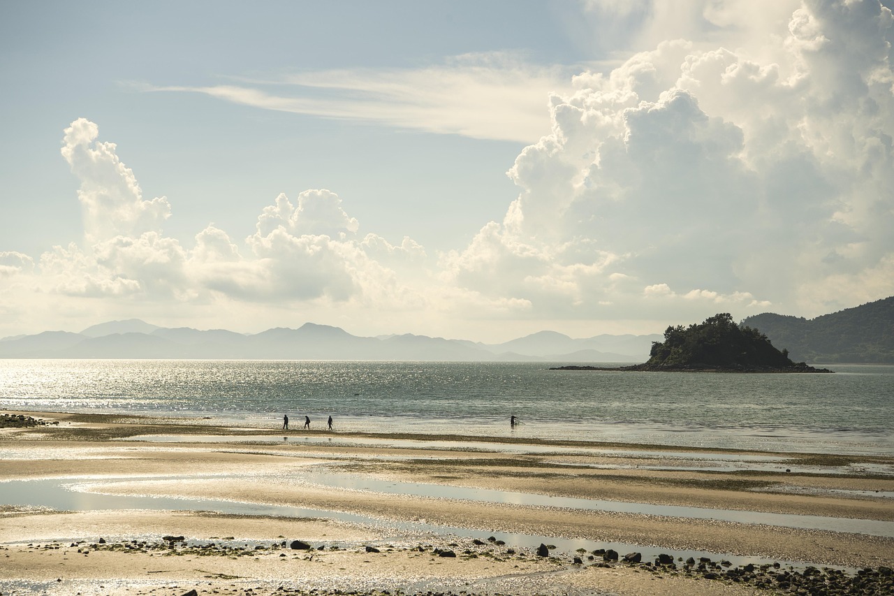고흥 서민 지원금