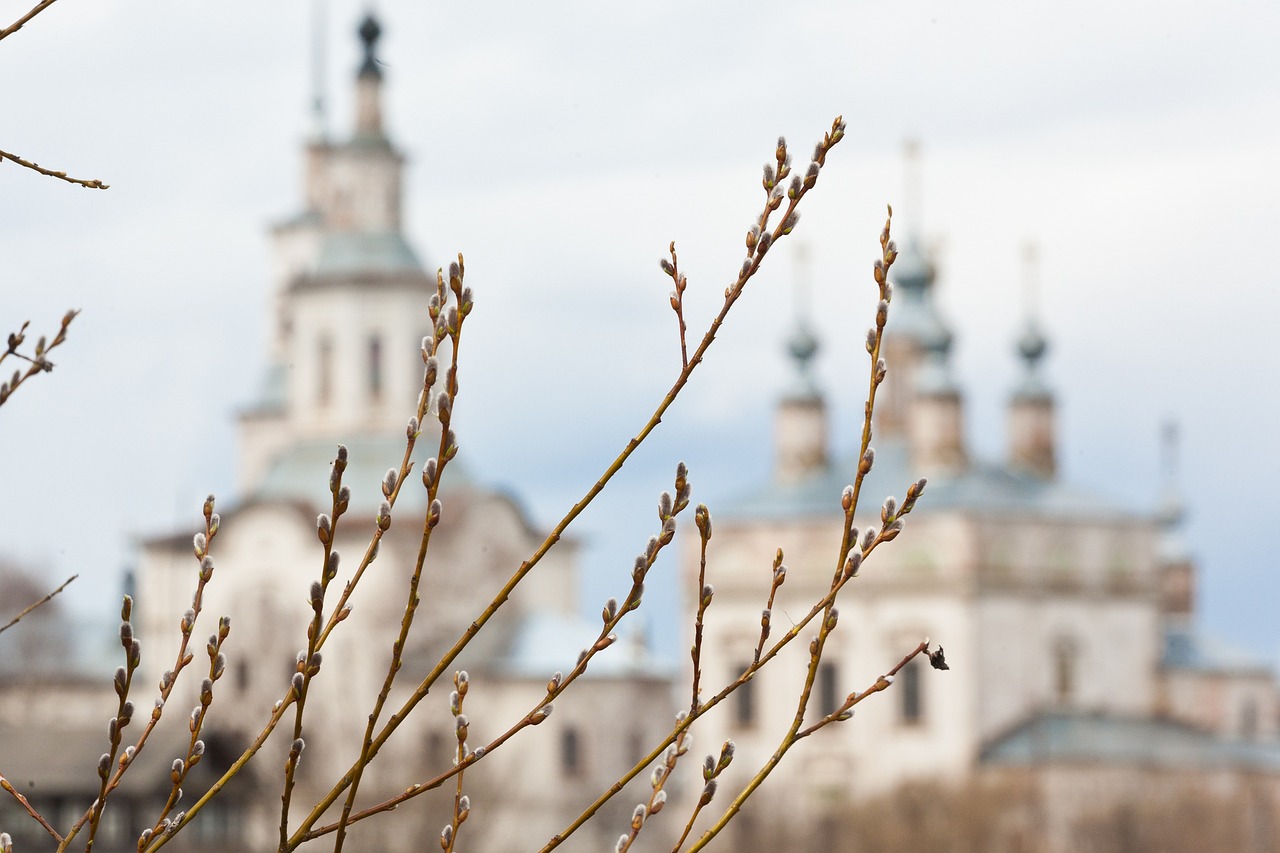 sk 공시지원금 조회