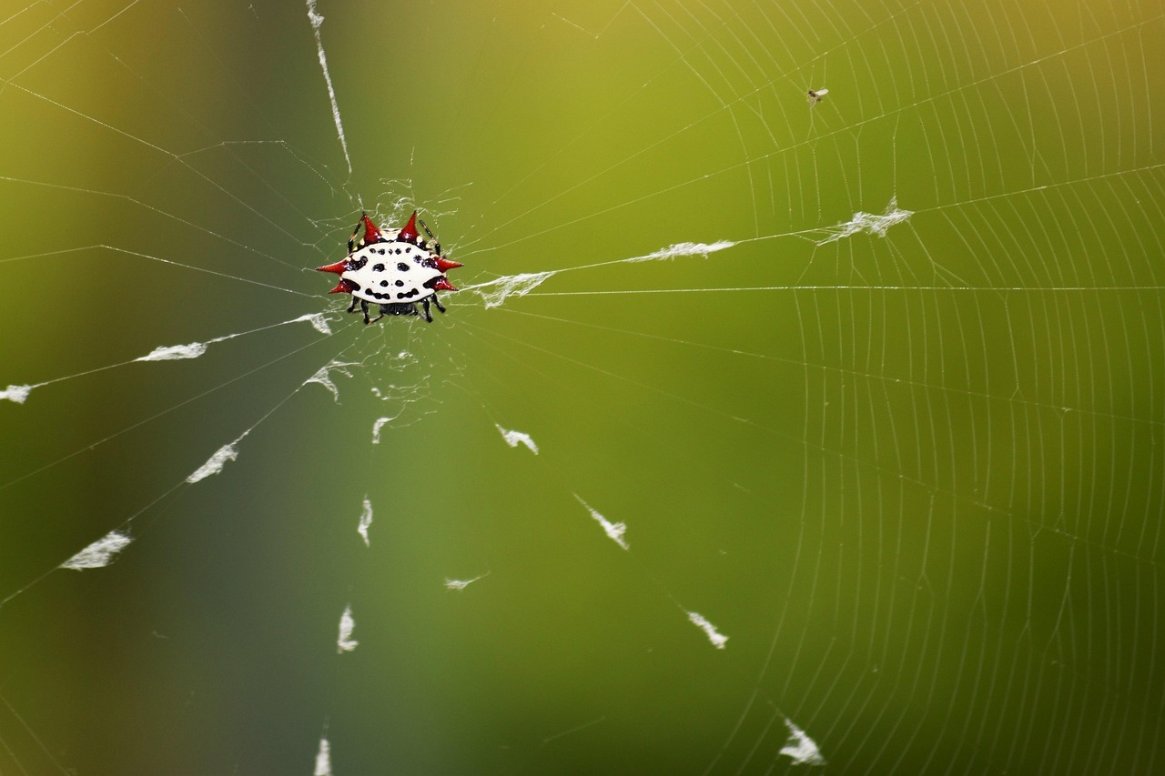 청년구직활동지원금 신청 후기