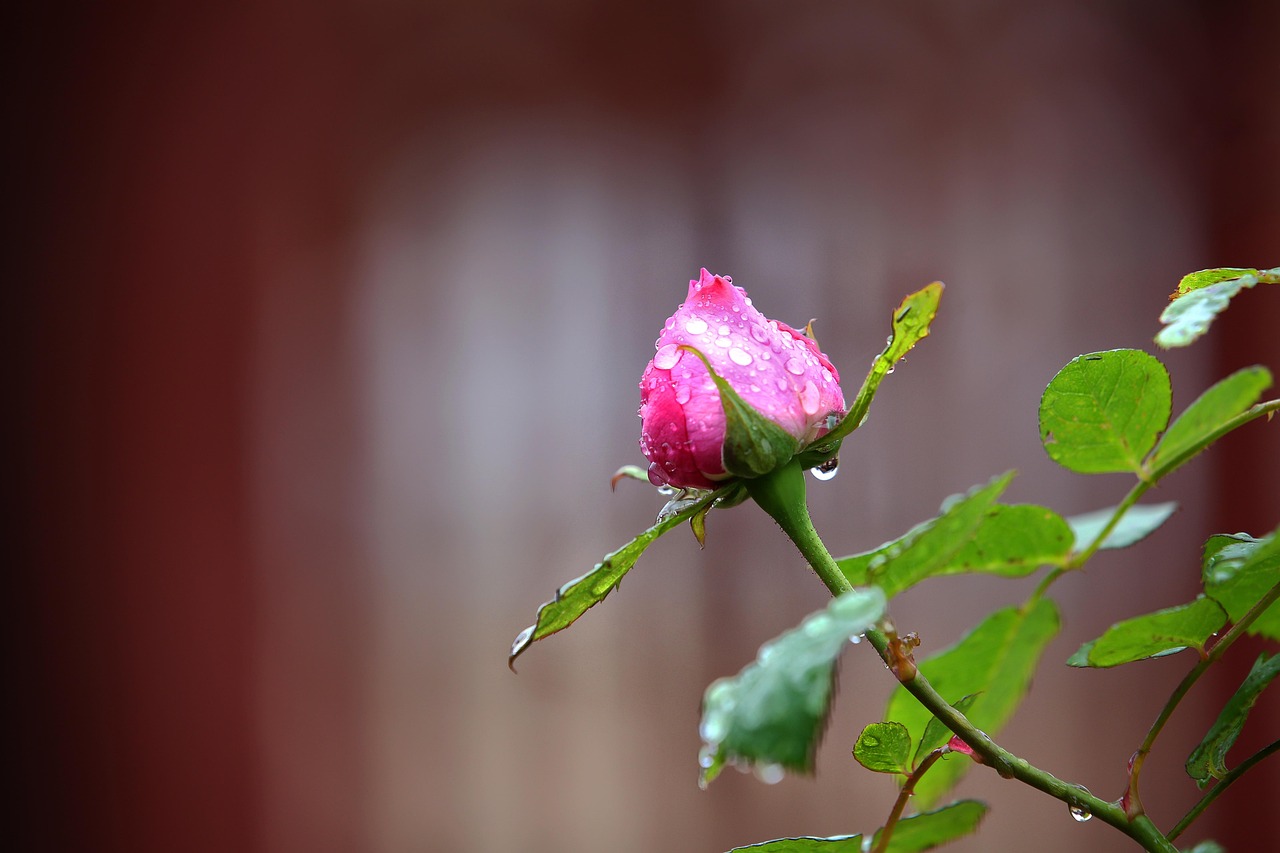 청도 근로장려 지원금