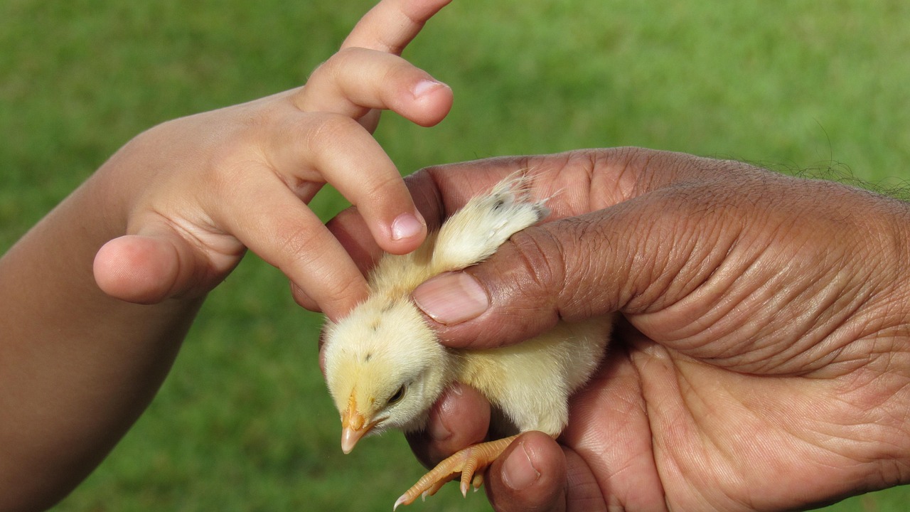 용인 수지구 서민 지원금