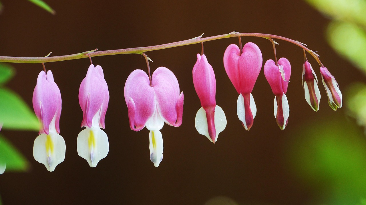 완주군민생지원금 사용처