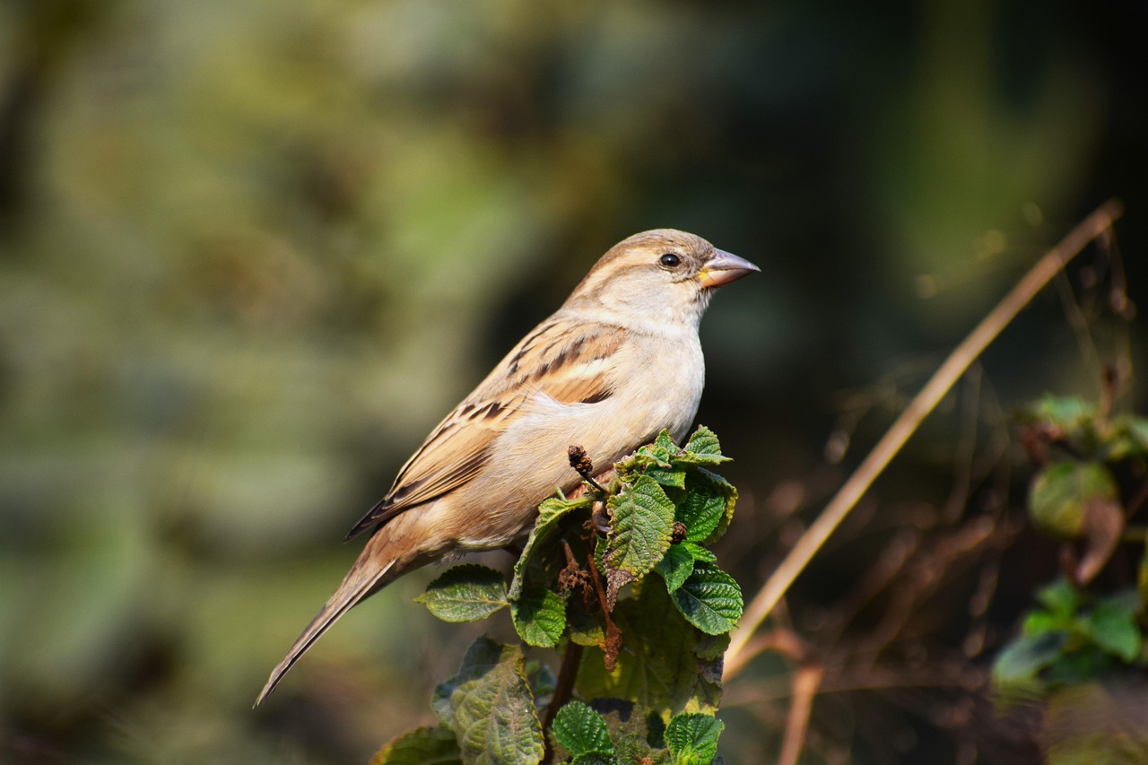 울산 울주 서민 지원금