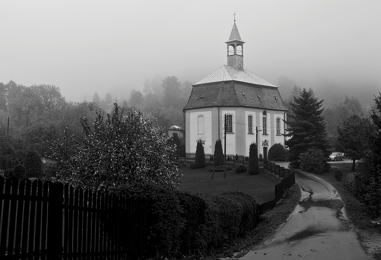 전국민 지원금 신청방법