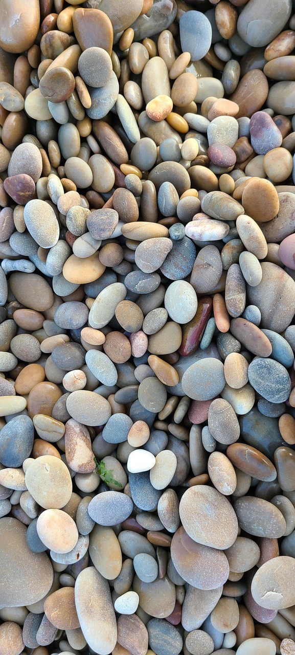 인천 연수구 청년 지원금