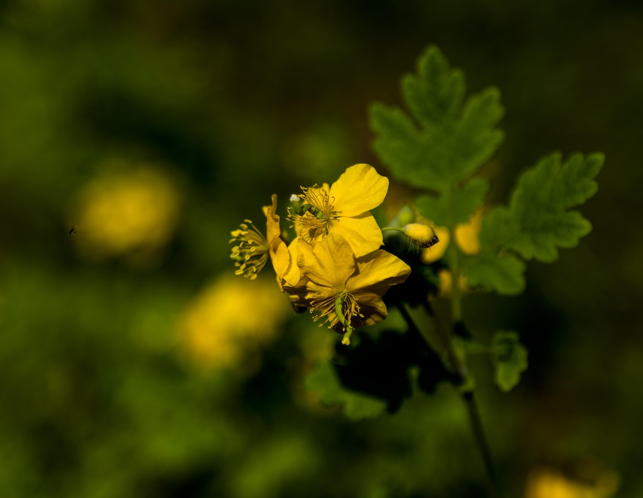 수원 청년 지원금