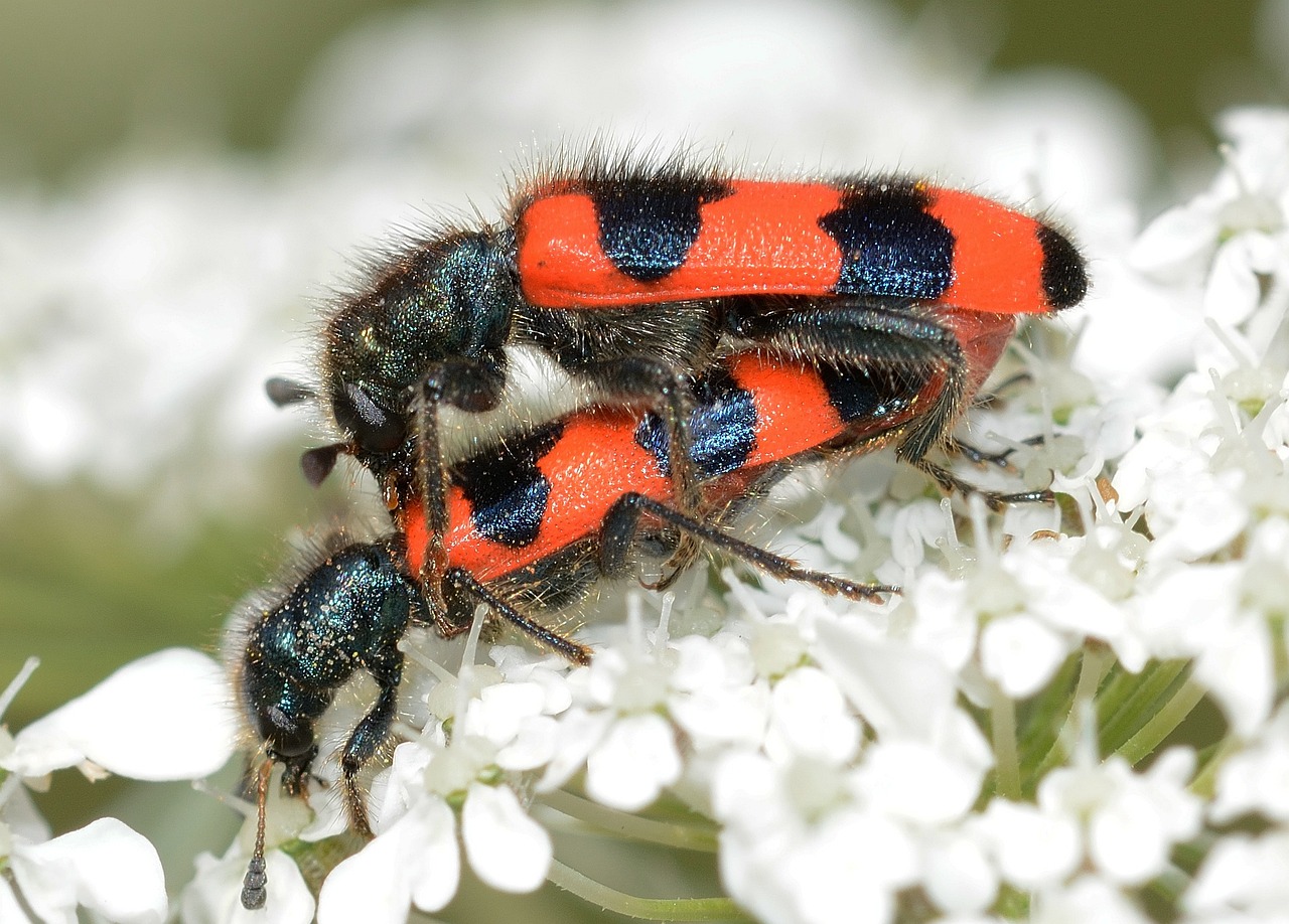 삼척 서민 지원금