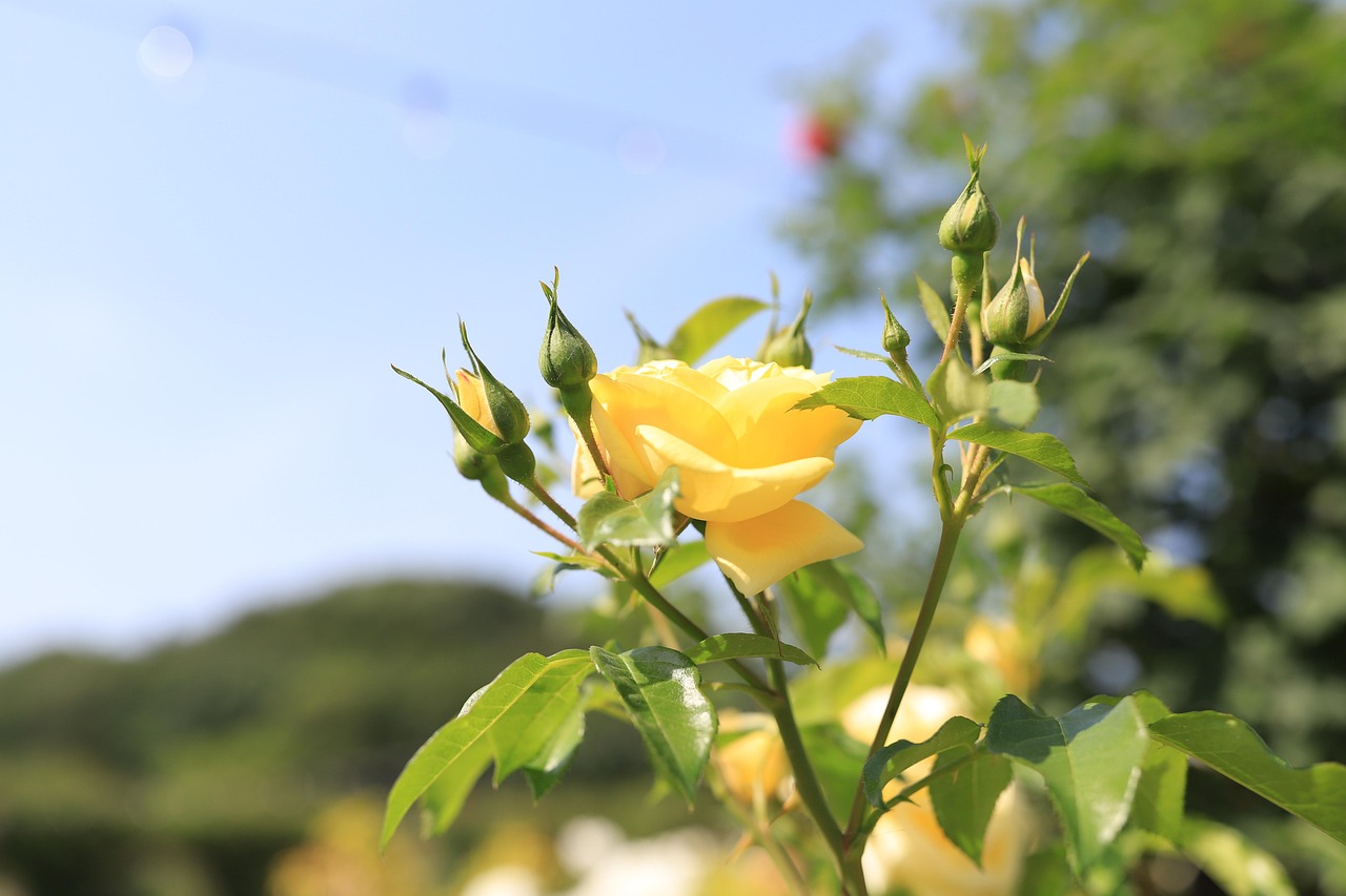 미닉스 정부지원금 용인